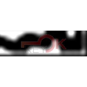 ERREBI - AU39 - MULTIPROF. E PASS ESTERO - 05B-ACC