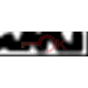 ERREBI - AU45 - MULTIPROF. E PASS ESTERO - 05B-ACC