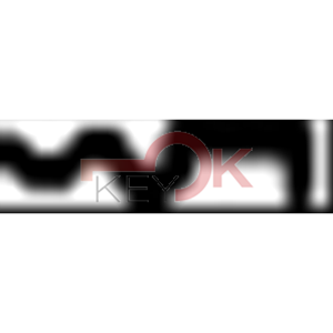 ERREBI - AU49R* - MULTIPROF. E PASS ESTERO - 05B-OTT