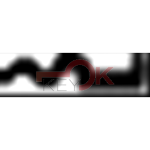 ERREBI - AU71* - MULTIPROF. E PASS ESTERO - 05B-OTT