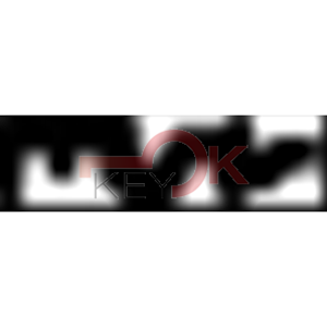 ERREBI - AU77* - MULTIPROF. E PASS ESTERO - 05B-OTT