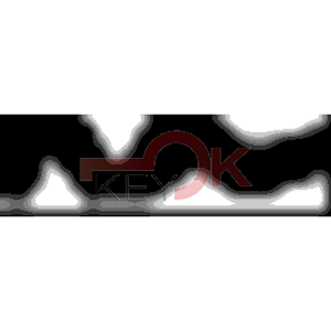 ERREBI - RU49* - MULTIPROF. E PASS ESTERO - 05B-OTT