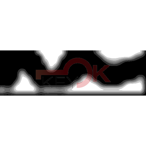 ERREBI - RU49* - MULTIPROF. E PASS ESTERO - 05B-OTT