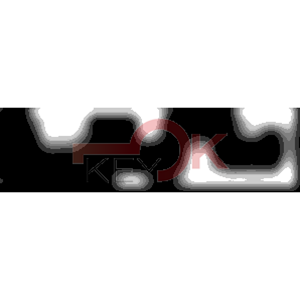 ERREBI - BAB1008* - MULTIPROF. E PASS ESTERO - 05B-OTT