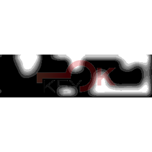 ERREBI - BAB1009* - MULTIPROF. E PASS ESTERO - 05B-OTT