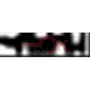 ERREBI - BFA10* - MULTIPROF. E PASS ESTERO - 05B-OTT