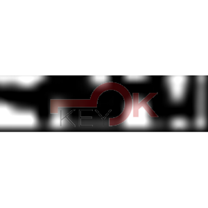 ERREBI - BFA4* - MULTIPROF. E PASS ESTERO - 05B-OTT