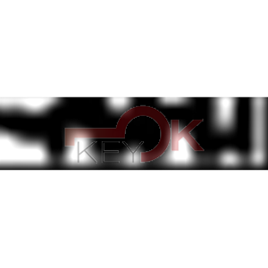 ERREBI - BFA7* - MULTIPROF. E PASS ESTERO - 05B-OTT