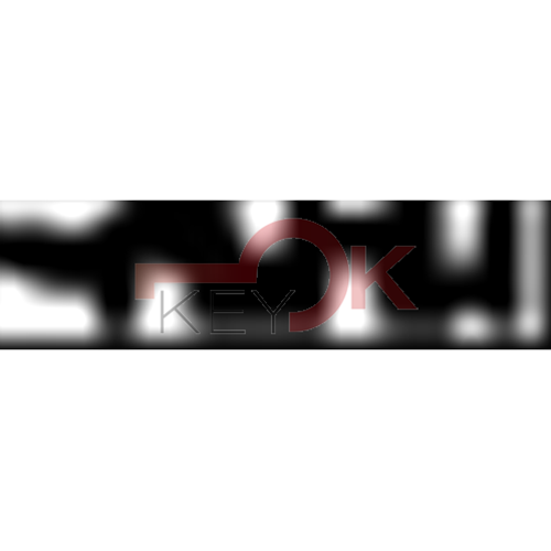 ERREBI - BFA8* - MULTIPROF. E PASS ESTERO - 05B-OTT