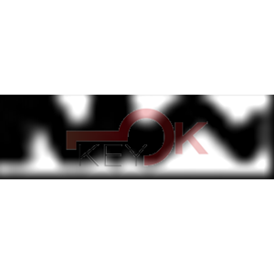 ERREBI - BN10 - MULTIPROF. E PASS ESTERO - 05B-ACC