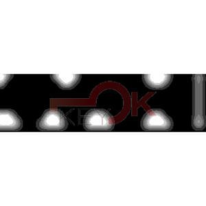 ERREBI - CEEB1* - MULTIPROF. E PASS ESTERO - 05B-OTT