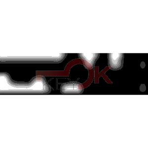 ERREBI - CEW26L* - MULTIPROF. E PASS ESTERO - 05B-OTT