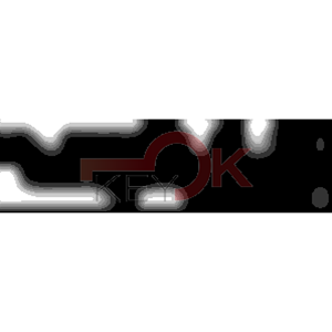 ERREBI - CEW31L* - MULTIPROF. E PASS ESTERO - 05B-OTT