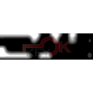 ERREBI - CEW32* - MULTIPROF. E PASS ESTERO - 05B-OTT