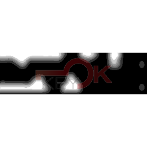 ERREBI - CEW33* - MULTIPROF. E PASS ESTERO - 05B-OTT