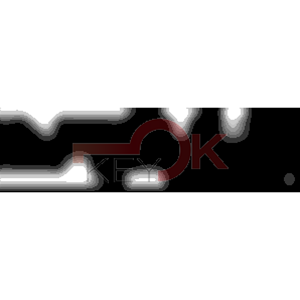 ERREBI - CEW37* - MULTIPROF. E PASS ESTERO - 05B-OTT