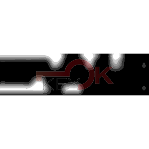 ERREBI - CEW38* - MULTIPROF. E PASS ESTERO - 05B-OTT