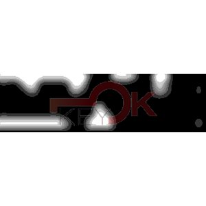 ERREBI - CEW39* - MULTIPROF. E PASS ESTERO - 05B-OTT