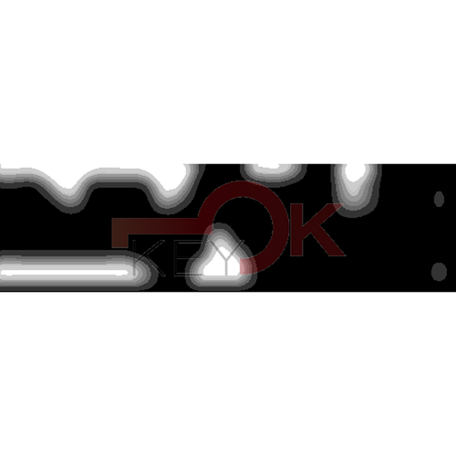 ERREBI - CEW39* - MULTIPROF. E PASS ESTERO - 05B-OTT