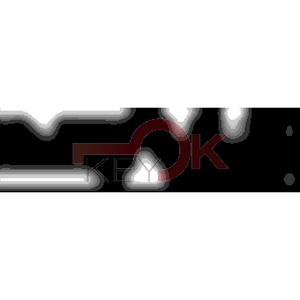 ERREBI - CEW40* - MULTIPROF. E PASS ESTERO - 05B-OTT