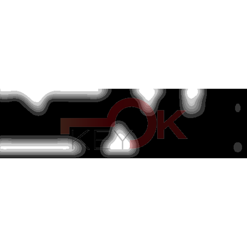 ERREBI - CEW40L* - MULTIPROF. E PASS ESTERO - 05B-OTT