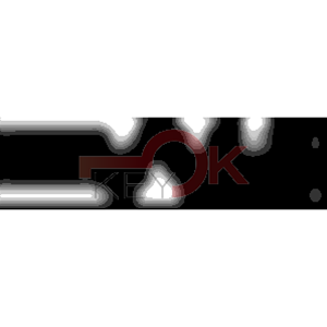 ERREBI - CEW41* - MULTIPROF. E PASS ESTERO - 05B-OTT