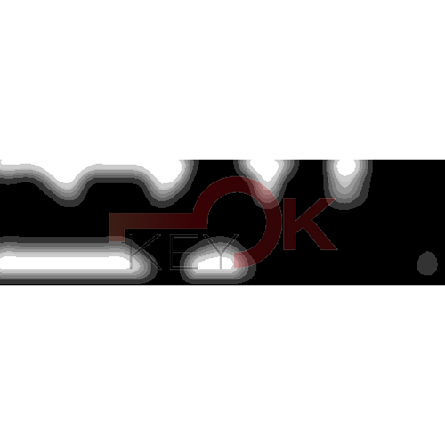 ERREBI - CEW42* - MULTIPROF. E PASS ESTERO - 05B-OTT