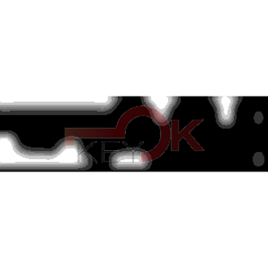 ERREBI - CEX26* - MULTIPROF. E PASS ESTERO - 05B-OTT