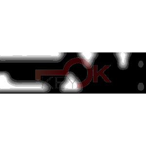 ERREBI - CEX29L* - MULTIPROF. E PASS ESTERO - 05B-OTT