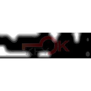 ERREBI - CEX31L* - MULTIPROF. E PASS ESTERO - 05B-OTT