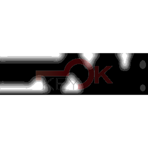 ERREBI - CEX35* - MULTIPROF. E PASS ESTERO - 05B-OTT