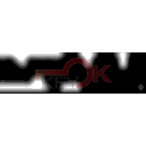 ERREBI - CEX37L* - MULTIPROF. E PASS ESTERO - 05B-OTT