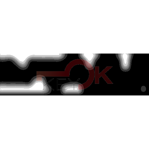 ERREBI - CEX37L* - MULTIPROF. E PASS ESTERO - 05B-OTT