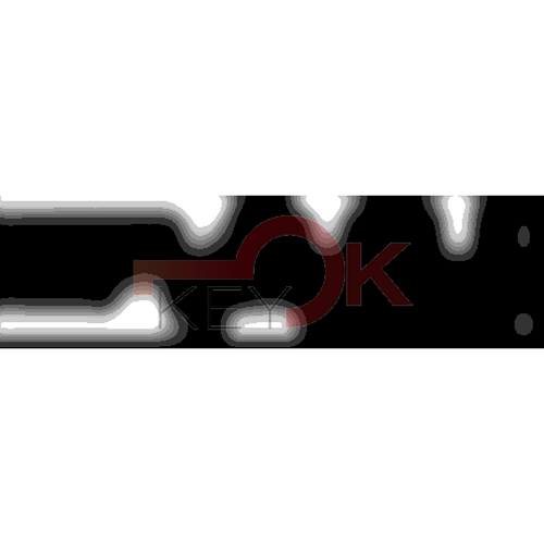 ERREBI - CEX38* - MULTIPROF. E PASS ESTERO - 05B-OTT