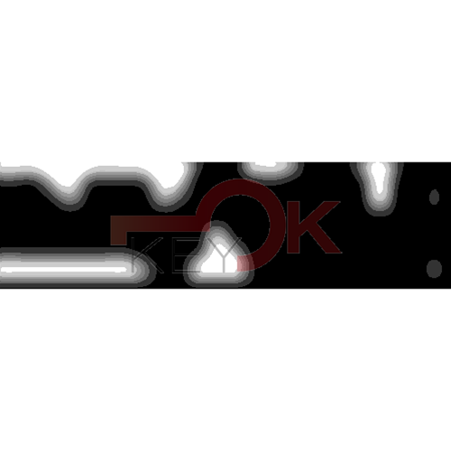 ERREBI - CEX39* - MULTIPROF. E PASS ESTERO - 05B-OTT