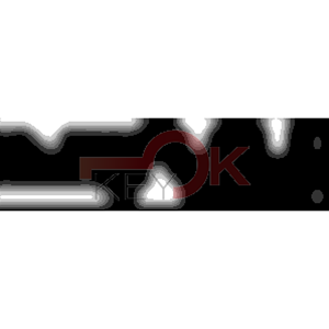 ERREBI - CEX40* - MULTIPROF. E PASS ESTERO - 05B-OTT