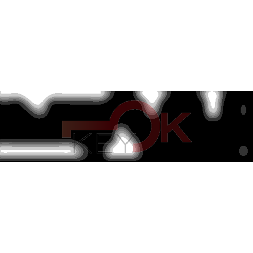 ERREBI - CEX40L* - MULTIPROF. E PASS ESTERO - 05B-OTT