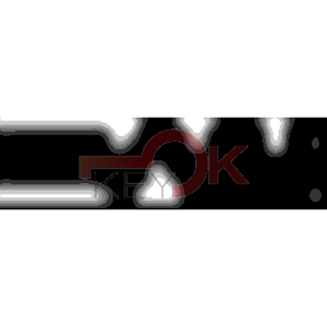 ERREBI - CEX41L* - MULTIPROF. E PASS ESTERO - 05B-OTT