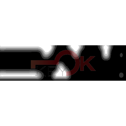 ERREBI - CEX41L* - MULTIPROF. E PASS ESTERO - 05B-OTT