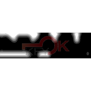 ERREBI - CEX42L* - MULTIPROF. E PASS ESTERO - 05B-OTT