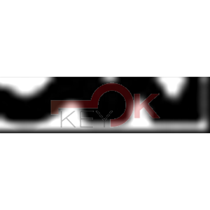 ERREBI - CIS8* - MULTIPROF. E PASS ESTERO - 05B-OTT