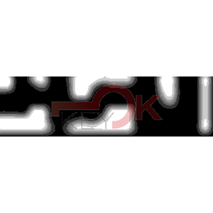 ERREBI - DM12PP* - MULTIPROF. E PASS ESTERO - 05B-OTT