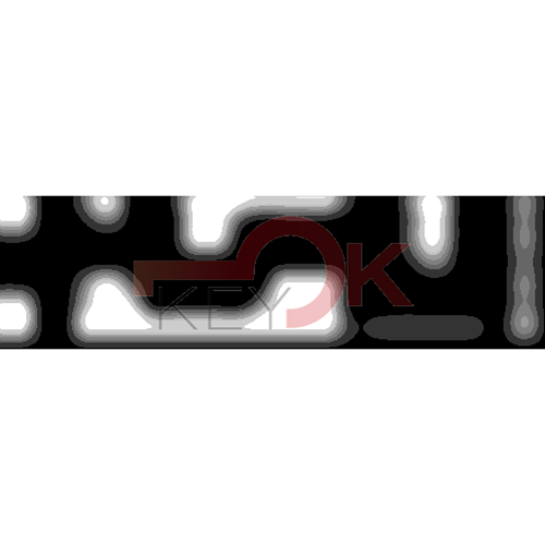 ERREBI - DM13PP* - MULTIPROF. E PASS ESTERO - 05B-OTT