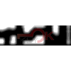 ERREBI - DM16PP* - MULTIPROF. E PASS ESTERO - 05B-OTT