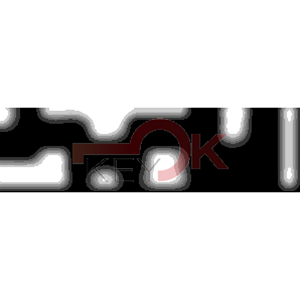 ERREBI - DM17PP* - MULTIPROF. E PASS ESTERO - 05B-OTT