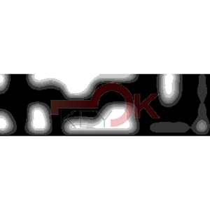 ERREBI - DM19PP* - MULTIPROF. E PASS ESTERO - 05B-OTT