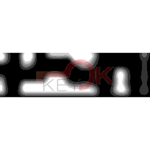 ERREBI - DM19PPR* - MULTIPROF. E PASS ESTERO - 05B-OTT