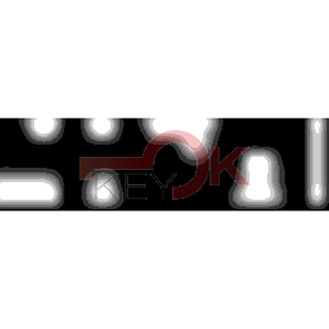 ERREBI - DM1AR* - MULTIPROF. E PASS ESTERO - 05B-OTT