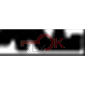 ERREBI - CV9. - SPECIALI ESTERO - Alpacca - Nickel-Silver