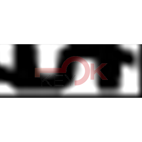 ERREBI - C33LP - SPECIALI NAZIONALI TESTA PLAST. - 07A-OTT